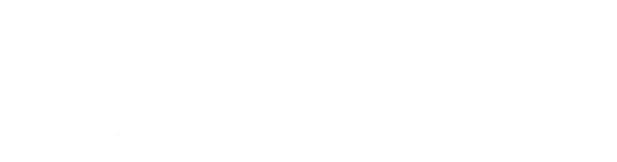 Trains Planes & Automobiles